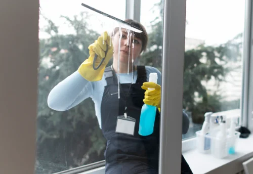 Nettoyage de vitres intérieures et extérieures à Cépet
